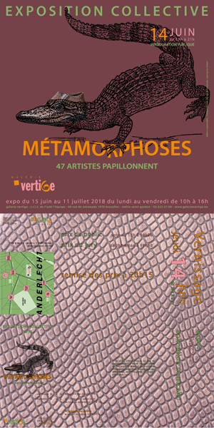 2018 site inter-net-recto-metamorphoses copie.jpg